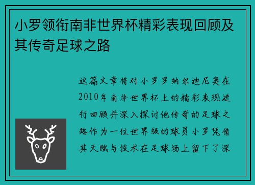 小罗领衔南非世界杯精彩表现回顾及其传奇足球之路